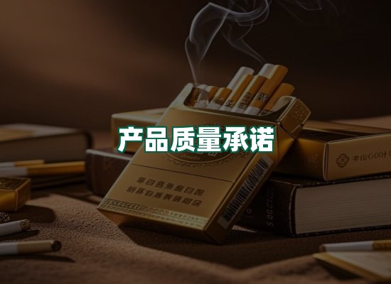 核心优势